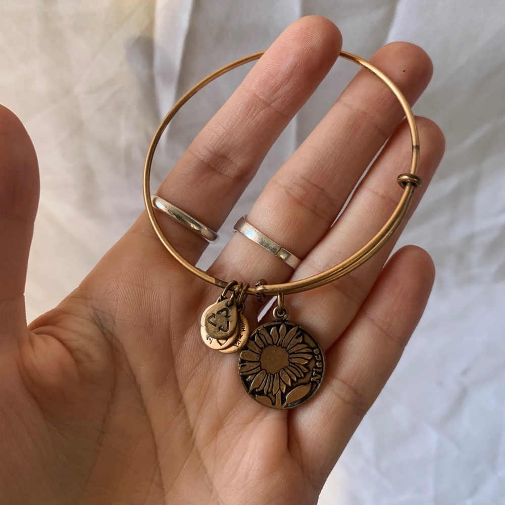 Alex + Ani Bracelets - Picture 7 of 11